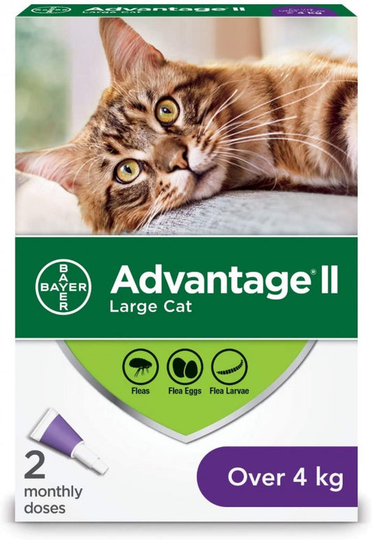 Bayer - Advantage® II Large Cat Once-A-Month Topical Flea Treatment - Over 4KG - 2 Doses