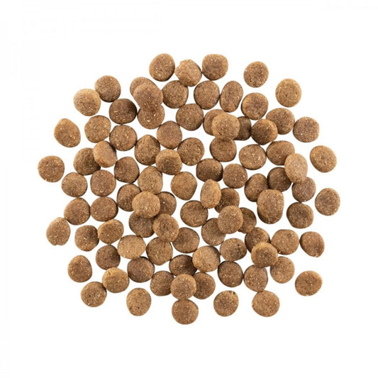 LocalID_67825 Petcurean - Weight Management & Joint Care GF CHICKEN Dry Dog Food - 9.98KG (22lb)