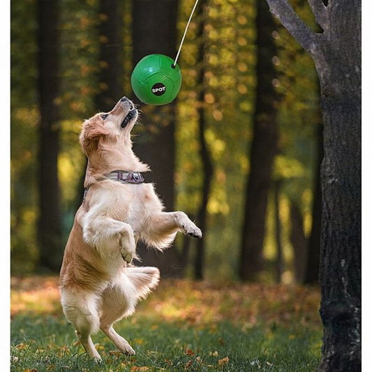 LocalID_60832 Ethical - Tether Ball With Rope - 8in Ball with 10ft Rope