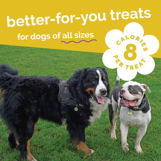 LocalID_71467 Fruitables - PUMPKIN and BANANA Crunchy Dog Treats - 340GM (12oz)