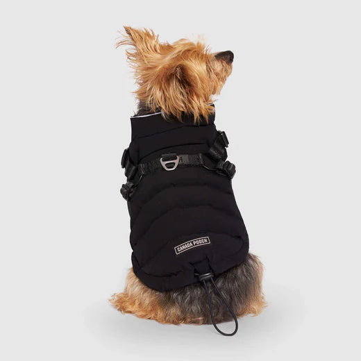 *DNR* Canada Pooch - The Harness Puffer - BLACK - Size 16