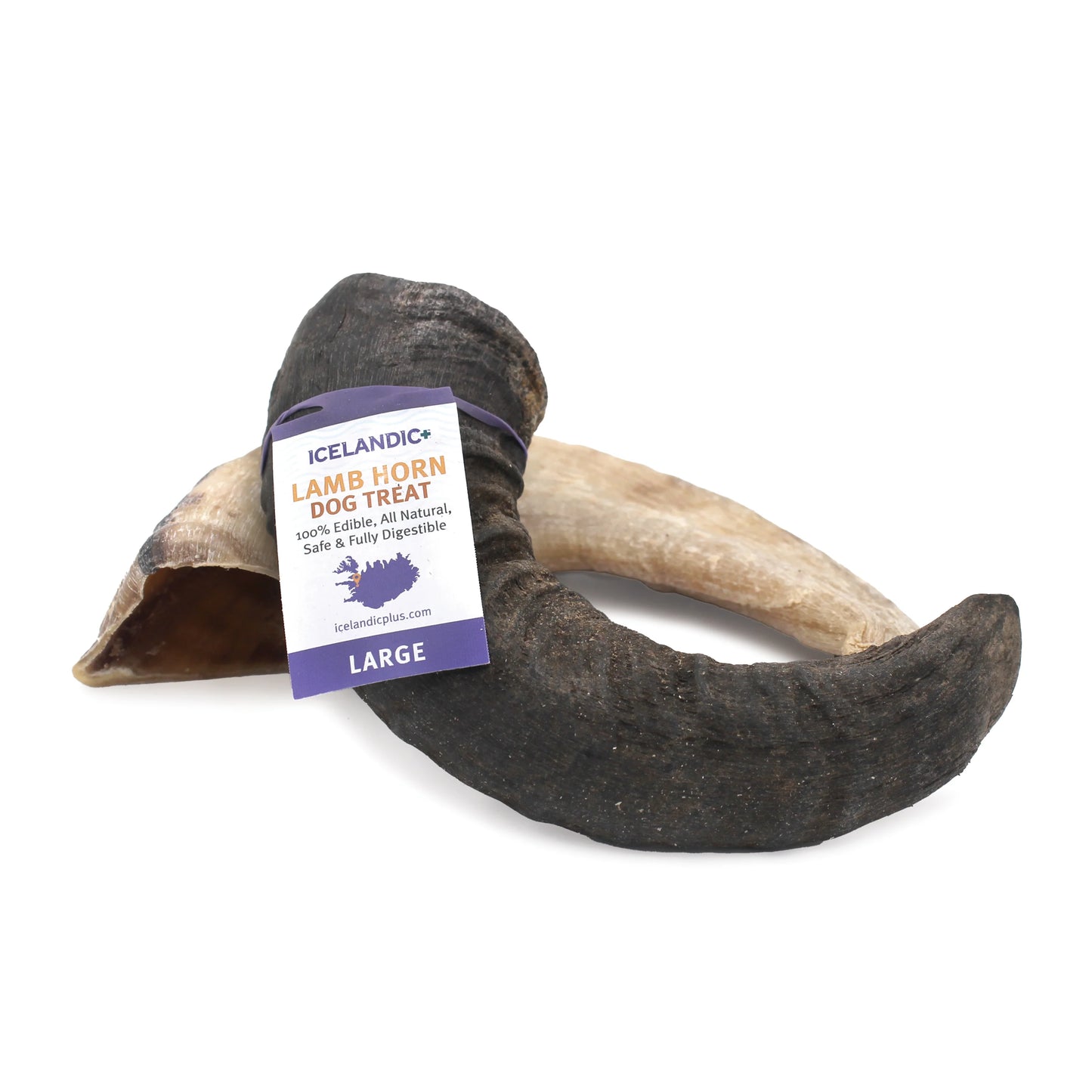 Icelandic+ - LAMB Horn Dog Chew - LARGE - 15-18CM (6-7in)