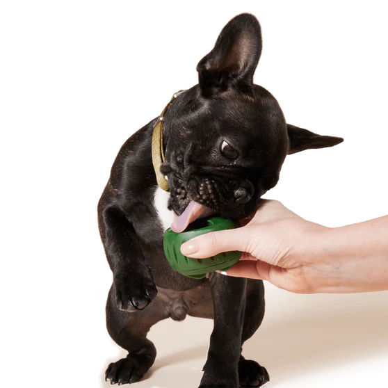 LocalID_71931 Woof Pet - Dog Pupsicle Treat Tray - XLARGE