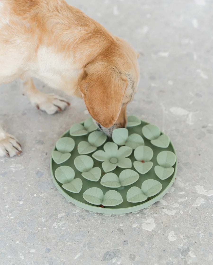 LocalID_65974 Dexypaws - Dog Snuffle Mat Silicone - SAGE GREEN - 23.5 x 20.5 x 2.5CM (9x8x1in)