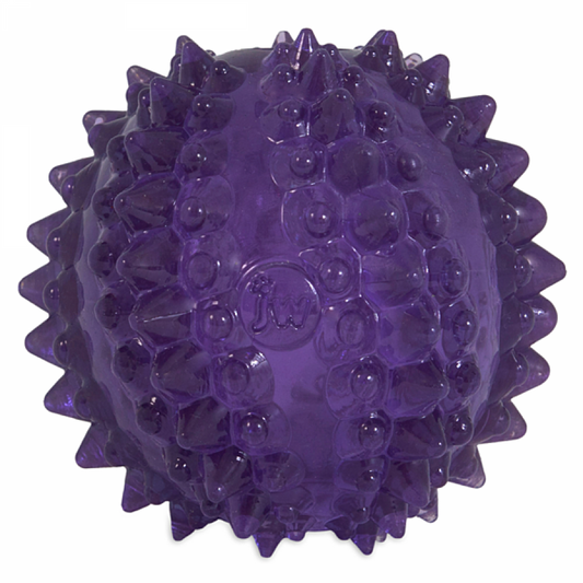 LocalID_69717 JW Pets - Bristl-ee Cactus Ball Dog Toy - 7CM (2.8in)