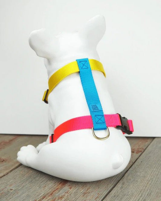LocalID_51937 Knick Knack Paddy Whack - Jubilee Harness - Medium 14-25
