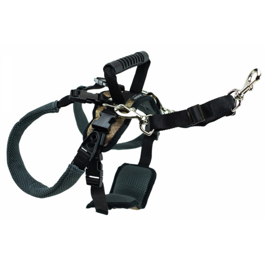 LocalID_57559 CareLift Rear Support Harness Large 70-130 lb