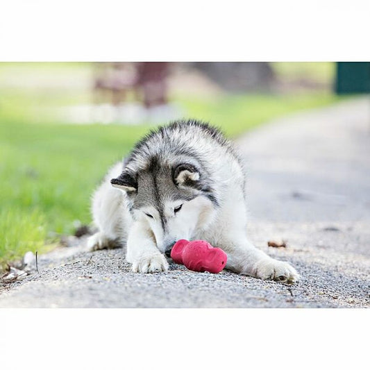 LocalID_66604 Jolly Pets - Tuff Teeter Dog Toy - RED