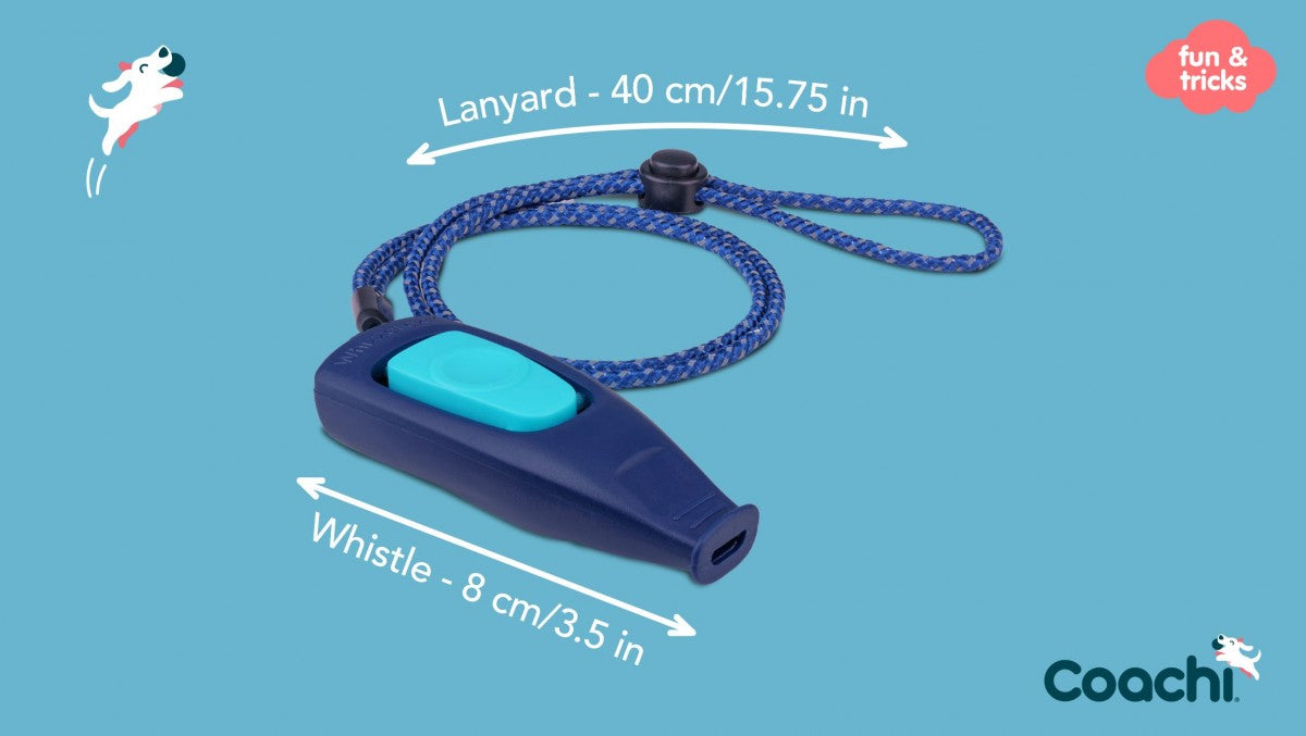 LocalID_70346 Company Of Animals - Coachi - Tricks Whizzclick - LIGHT BLUE & NAVY