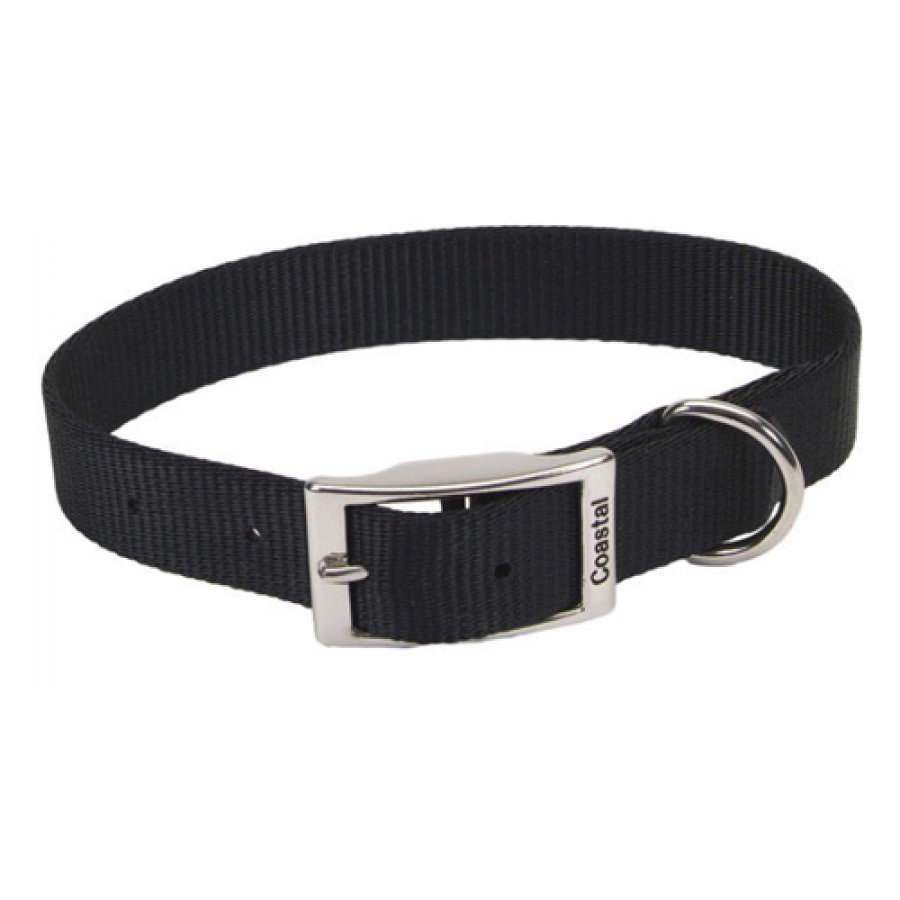 LocalID_35876 Coastal - Standard Buckle Nylon Dog Collar - Black - 2.5 x 56CM