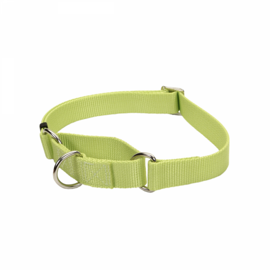 LocalID_31618 Coastal - No Slip Adjustable MARTINGALE Dog Collar - Lime - Small