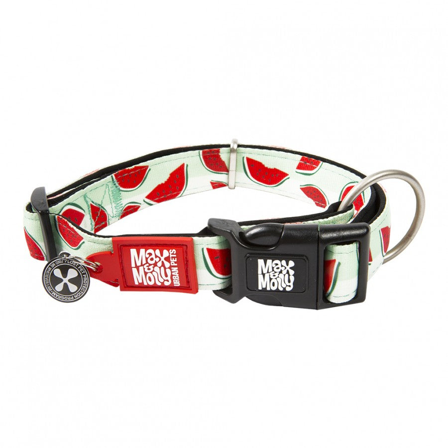 *DISC* Max & MOLLY - Smart ID Dog Collar - WATERMELON - SMALL - 1/2in x 11-17in