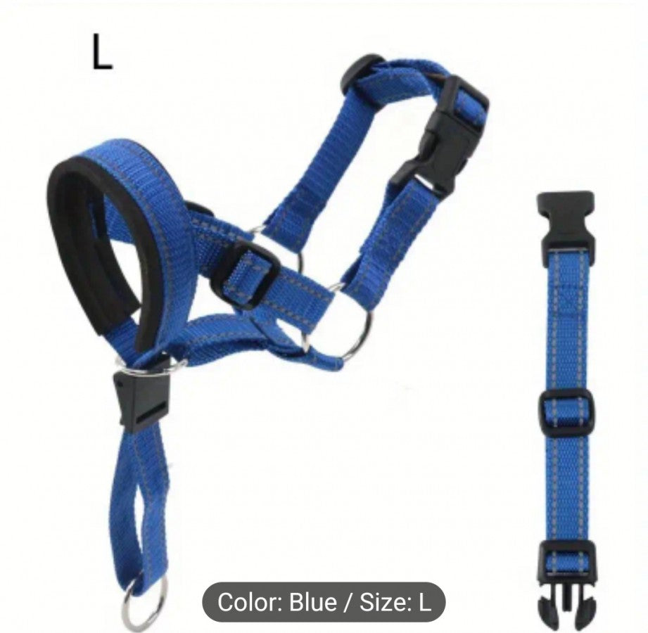 Instigating - Dog Head Halter with Safety Strap - BLUE - LARGE