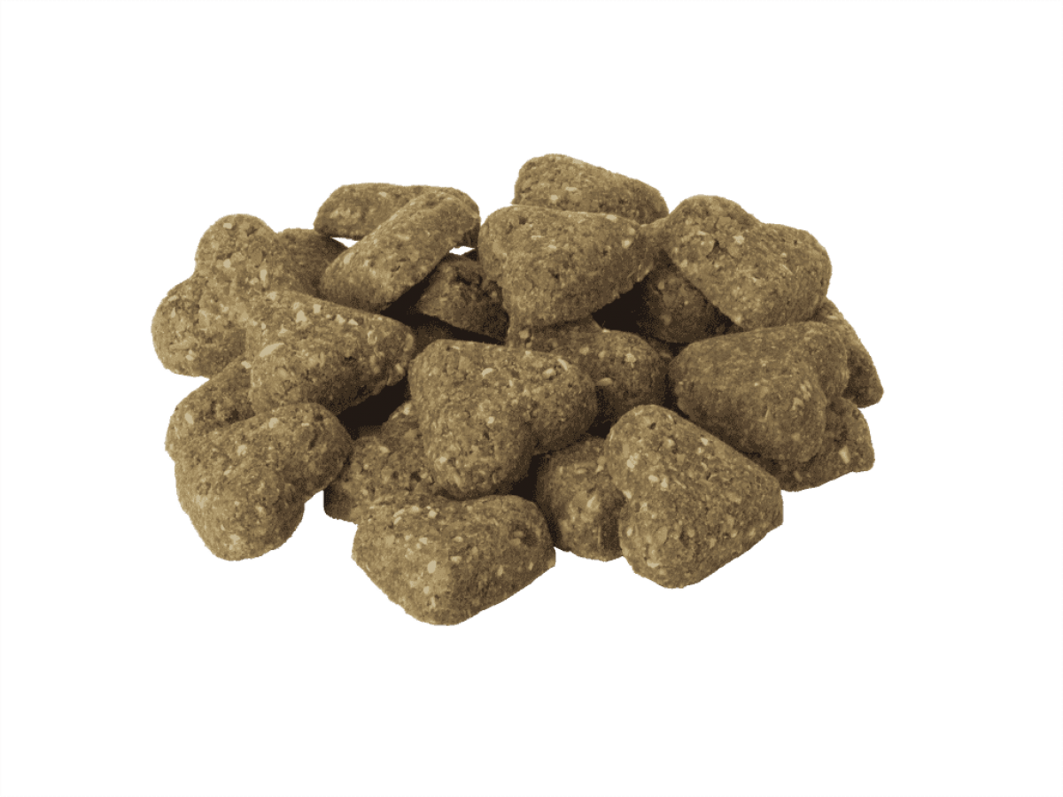 LocalID_68202 Darford - GF PUMPKIN Dog Treat - 340GM (12oz)