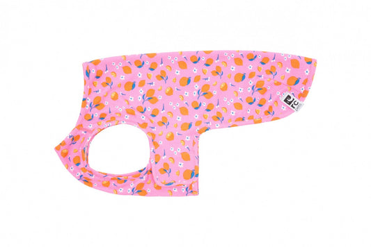 LocalID_71328 RC Pets - Zephyr Cooling Vest - ZESTY - MEDIUM - 43CM (17in)