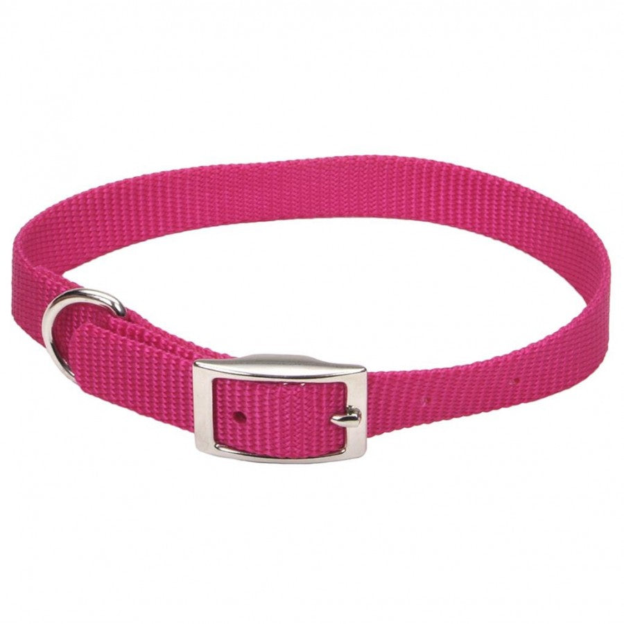 LocalID_43051 Coastal - DoublePly Standard Nylon Collar - Pink Flamingo - 66CM (26in)