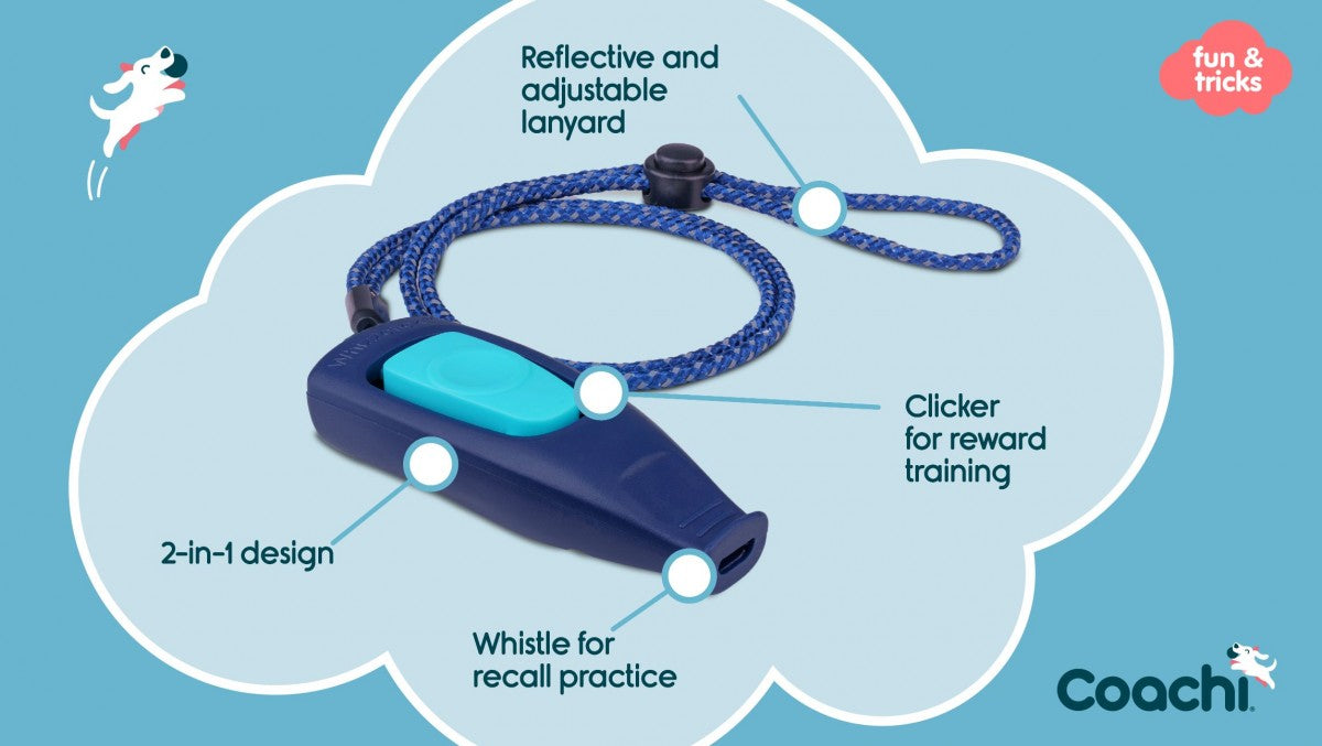 LocalID_70345 Company Of Animals - Coachi - Tricks Whizzclick - LIGHT BLUE & NAVY