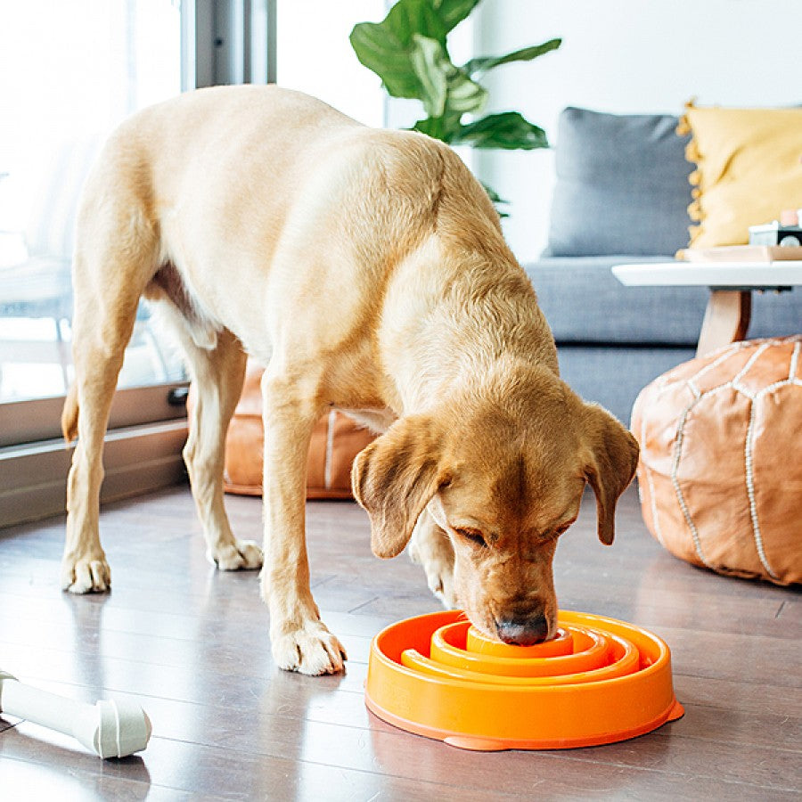 Outward Hound - Fun Feeder Coral - ORANGE - LARGE - 28.5CM (11in)