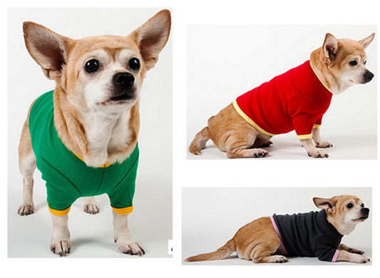 LocalID_45507 *DISC* American Apparel - Yellow w Orange Trim Dog Shirt - Large