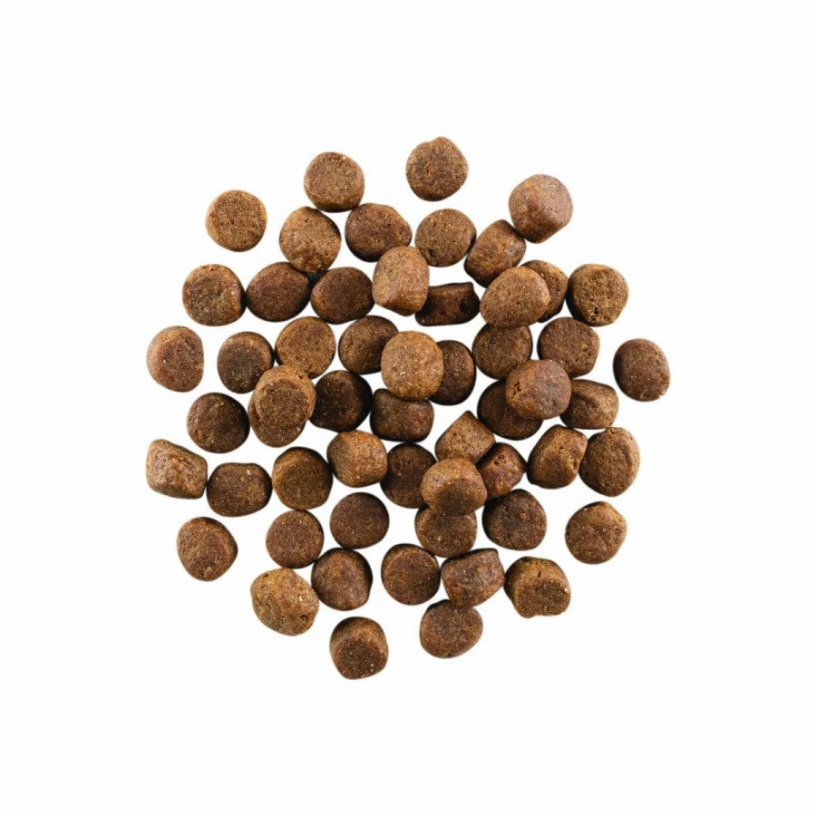 LocalID_67640 Petcurean - GO! Carnivore GF CHICKEN TURKEY DUCK ADULT Dry Dog Food - 1.59KG (3.5lb)