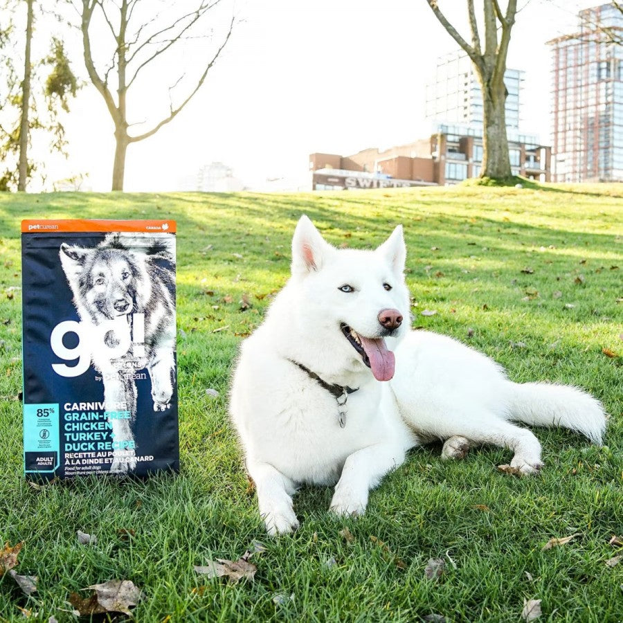 LocalID_67641 Petcurean - GO! Carnivore GF CHICKEN TURKEY DUCK ADULT Dry Dog Food - 1.59KG (3.5lb)