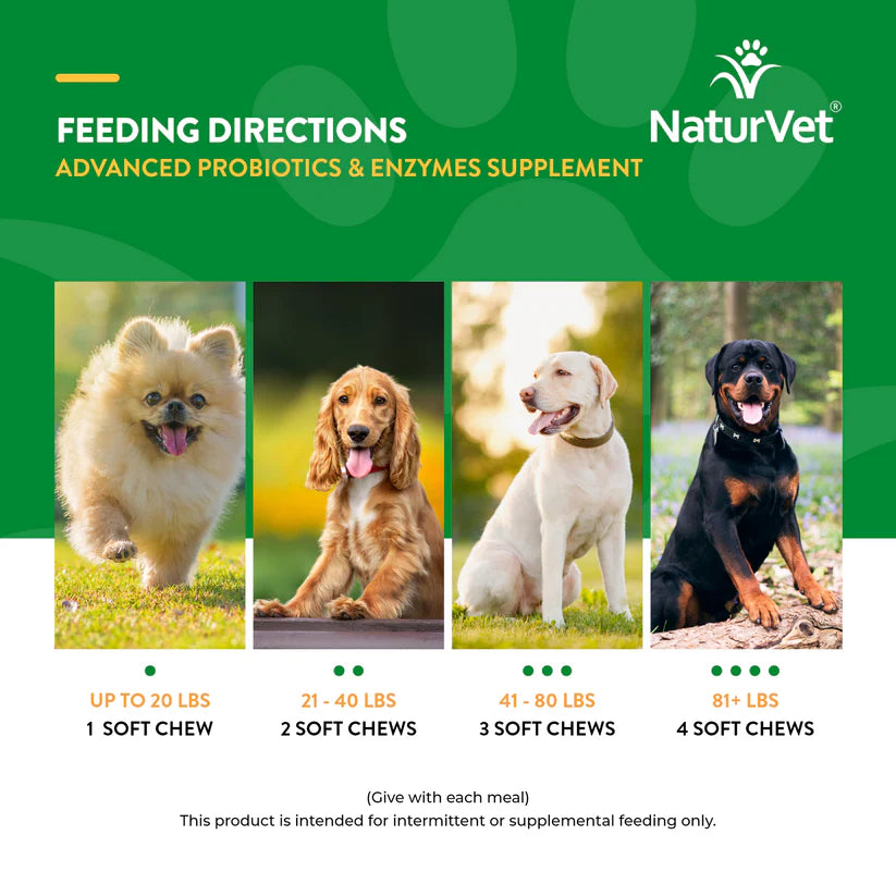 LocalID_70922 NaturVet - Advanced Soft Chew Probiotic & Enzymes - 168GM (5.9oz) - 70CT