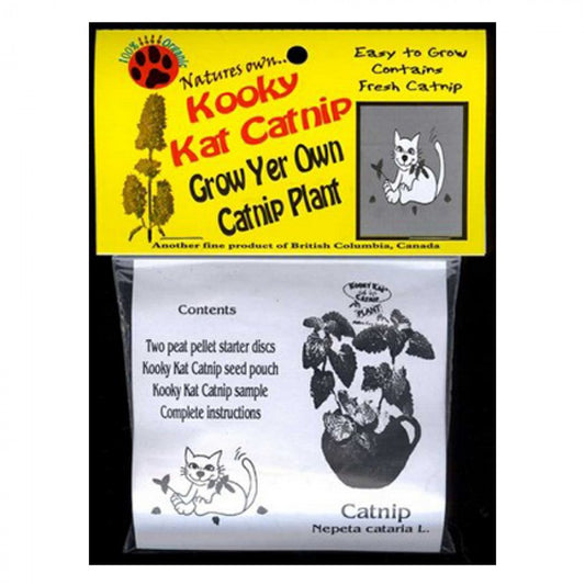 *S.O. - Up to 2 Week Wait* Kooky Kat -  Grow Own Catnip Plant - 100GM