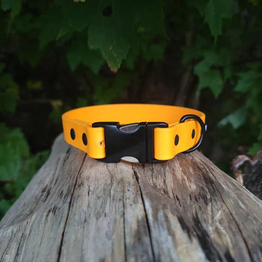 LocalID_56489 Get Dirty - 1" Fully Adjustable Collar - Biothane - Black - XL