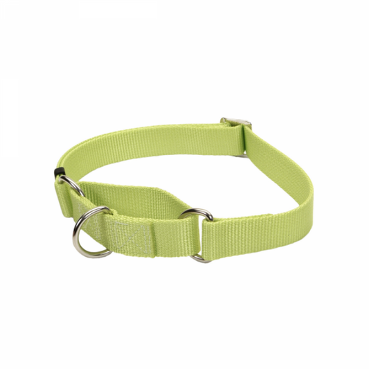 *DISC* Coastal - No Slip Adjustable MARTINGALE Dog Collar - LIME - SMALL - 5/8 x 10-14in