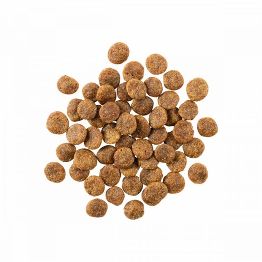 *S.O. - Up to 2 Week Wait* Petcurean - GO! Sensitivities LID GF VENISON Dry Dog Food - 9.98KG (22lb)