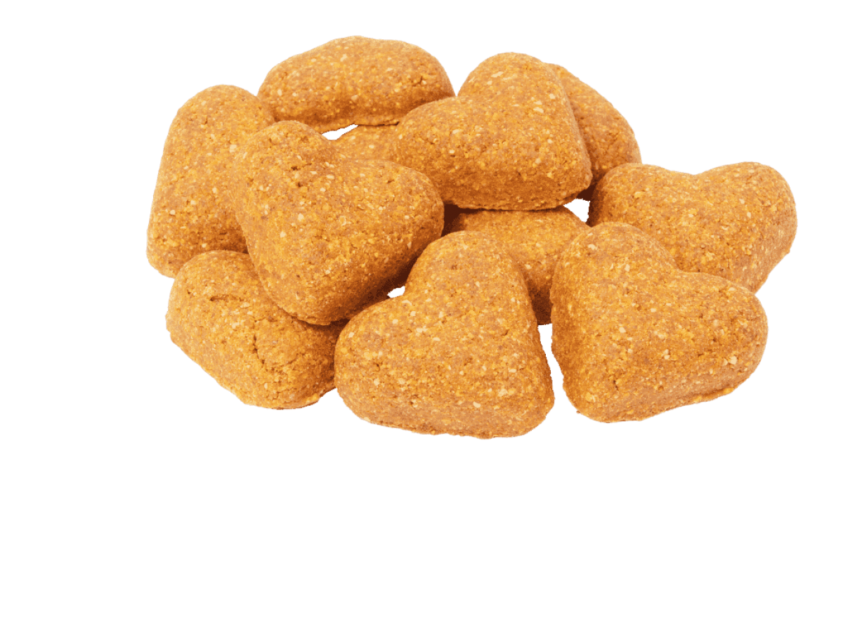 LocalID_68190 Darford - GF CHEDDAR CHEESE Recipe MINIS Dog Treat - 340GM (12oz)