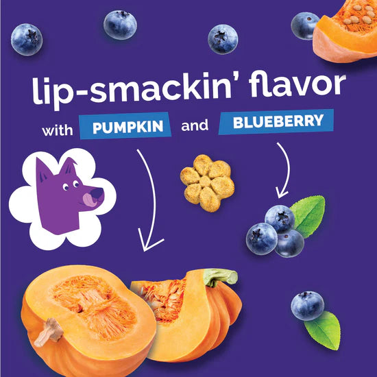 LocalID_71443 Fruitables - PUMPKIN & BLUEBERRY Crunchy Dog Treats - 340GM (12oz)