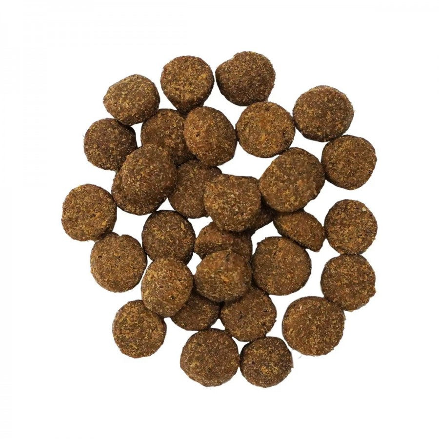 LocalID_67763 Petcurean - Go! Gut Health SALMON & ANCIENT GRAINS Dry Dog Food - 1.59KG (3.5lb)