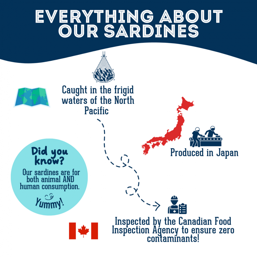 LocalID_68292 Granville Island Pet Treatery - Dried SARDINES - Large - 400GM (14.11oz)