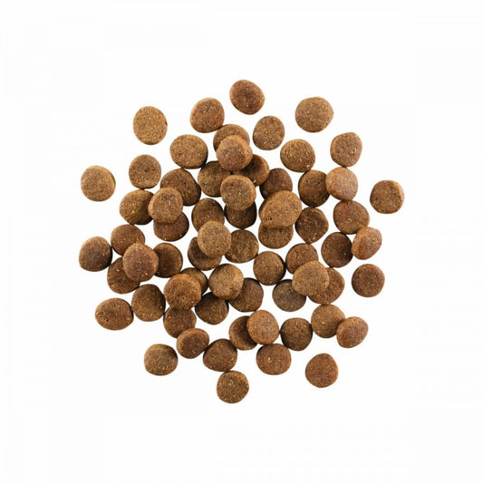 LocalID_67648 Petcurean - GO! Carnivore GF CHICKEN TURKEY DUCK Dry PUPPY Food - 5.4KG (12lb)