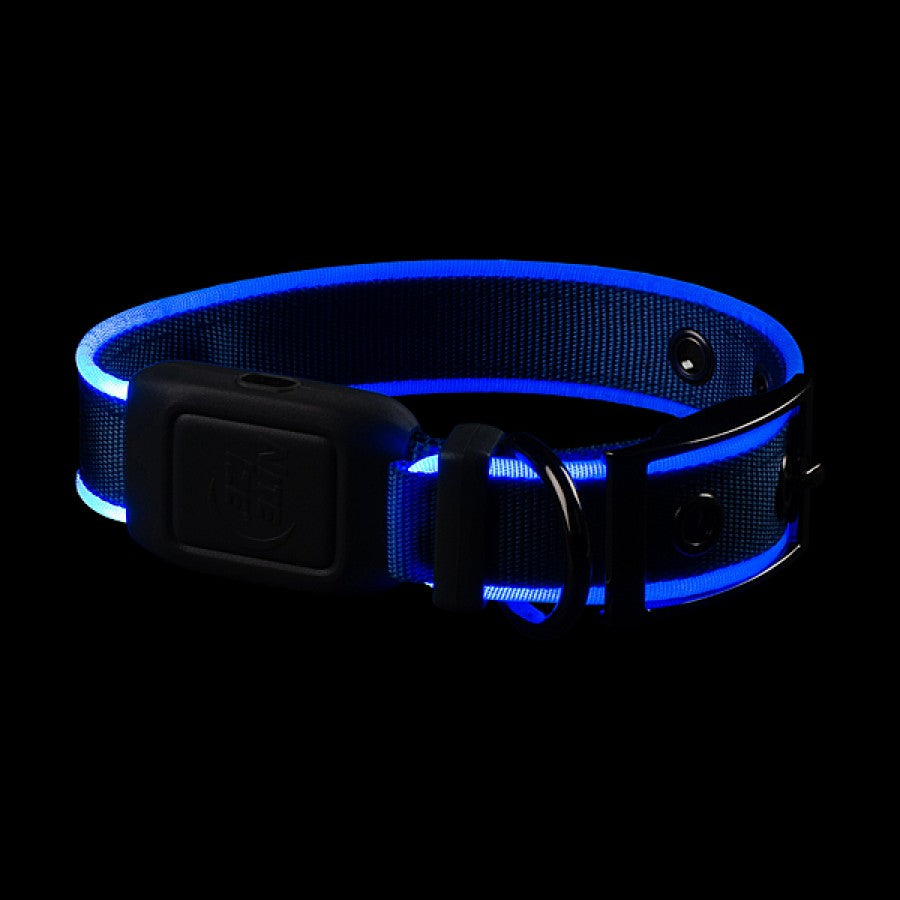 LocalID_66551 Nite Ize - NiteDog Rechargeable LED Collar - BLUE - SMALL