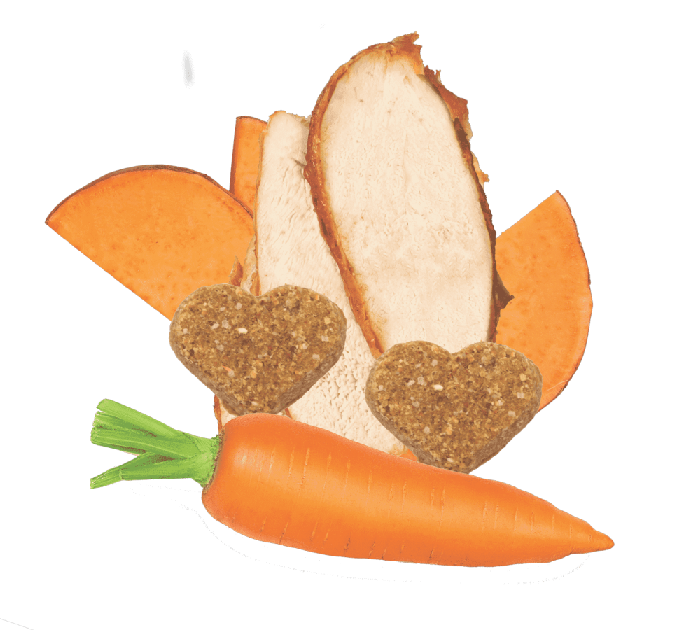 LocalID_68209 Darford - GF TURKEY MINIS Dog Treat - 340GM (12oz)