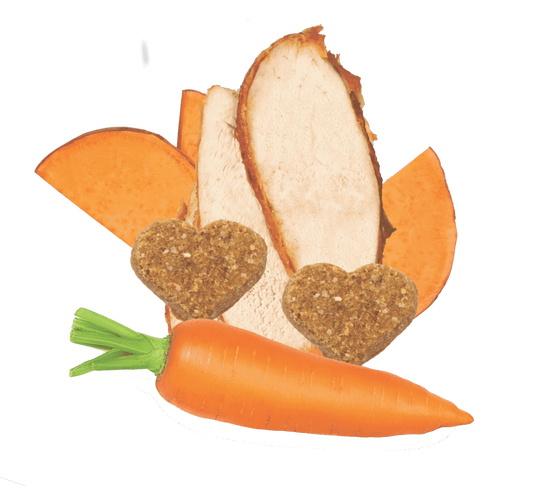 LocalID_68209 Darford - GF TURKEY MINIS Dog Treat - 340GM (12oz)