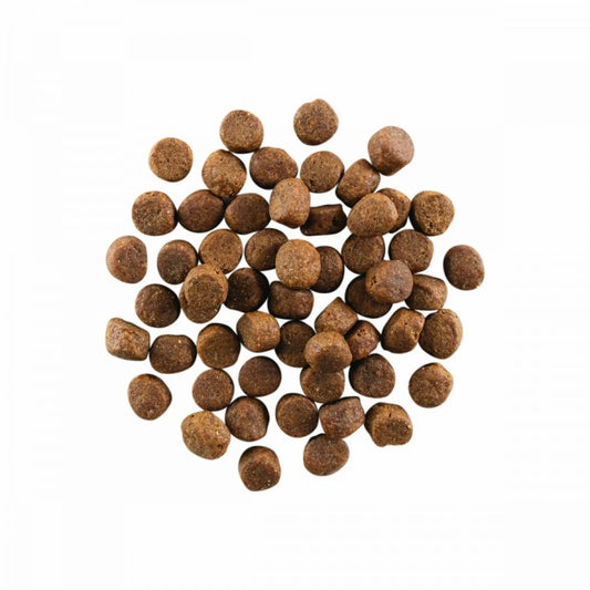 LocalID_67644 Petcurean - GO! Carnivore GF CHICKEN TURKEY DUCK ADULT Dry Dog Food - 9.98KG (22lb)