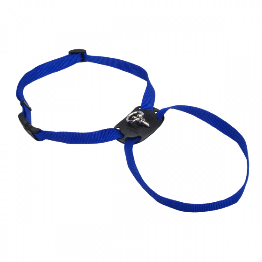 LocalID_53165 Coastal - Size Right Adjustable Nylon Harness Blue - 1x30-38IN