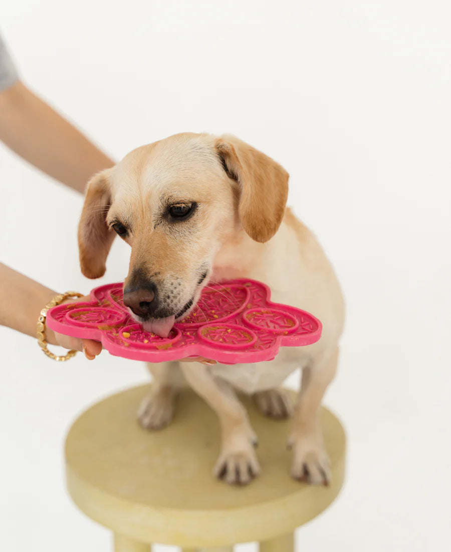 Dexypaws - Dog Lick Mat - PINK PAW - 20.5 x 19 x 1CM (8x7.5x.5in)