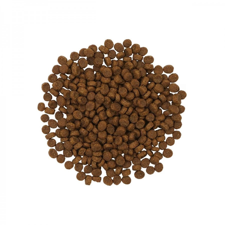 LocalID_71917 Petcurean - GO! Sensitivities LID GF INSECT Dry Cat Food - 5.44KG (12lb)