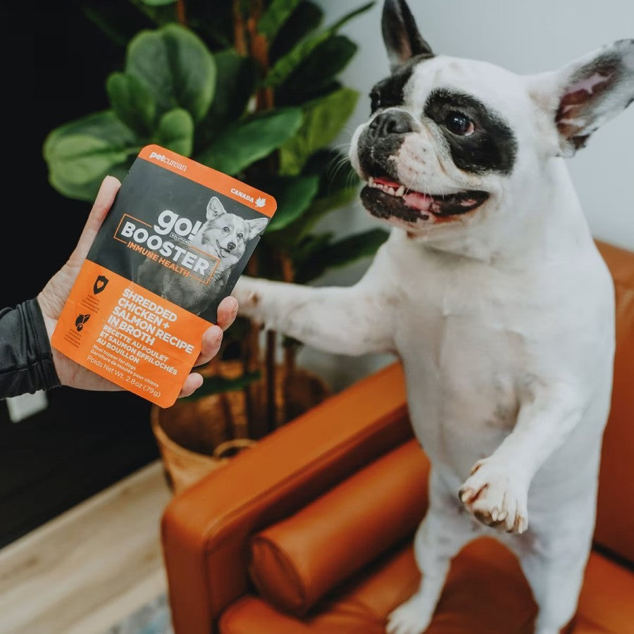 LocalID_67407 Petcurean - GO! Immune Shredded CHICKEN and SALMON in BROTH Wet Dog Food - 79GM (2.8oz)