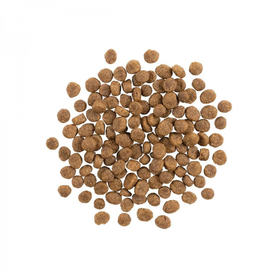 LocalID_67790 Petcurean - GO! Sensitivities GF LID SALMON SMALL BITES Dry Dog Food - 2.72KG (6lb)