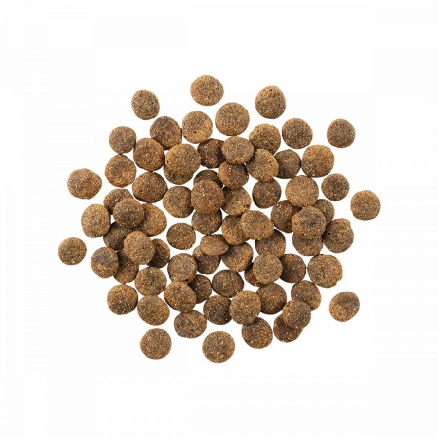 LocalID_67798 Petcurean - GO! Sensitivities LID GF LAMB Dry Dog Food - 9.98KG (22lb)