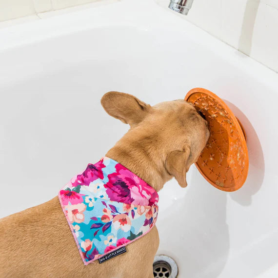 LocalID_65987 LickiMat - Splash - 19.5x19.5CM (7.75x7.75in)