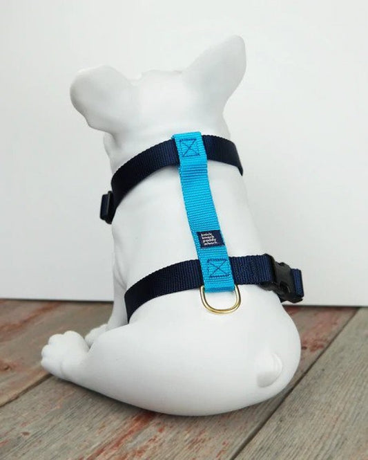 Knick Knack Paddy Whack - Dog Harness - NAVY & BLUE - SMALL - 12-19in