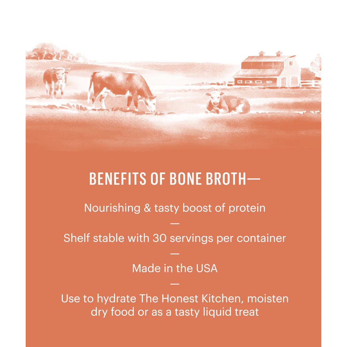LocalID_70840 Honest Kitchen - Daily Boosters Instant BEEF BONE BROTH with TUMERIC - 102GM (3.6oz)