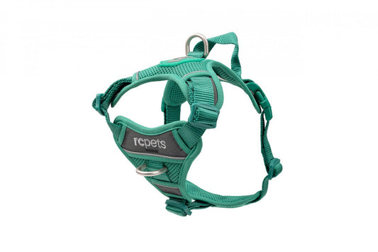 LocalID_61132 RC Pets - Momentum Control Harness - PARAKEET