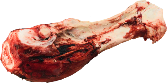 Frozen - K9 Choice - BEEF DINO BONE Dog Chew